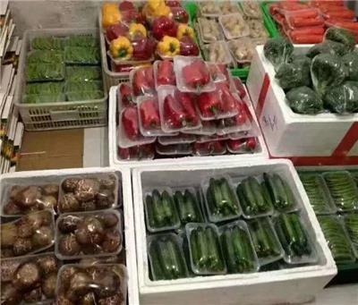 新鮮蔬菜零售與配送服務全解析 價格、批發與便捷之道